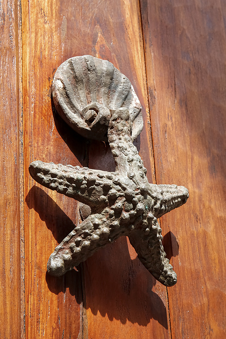 Artful metal door knocker in the shape of a starfish and a shell on a wooden door, Old Town, Cartage Artful metal door knocker in the shape of a starfish and a shell on a wooden door, Old Town, Cartage, by Zoonar Uwe Bergwitz