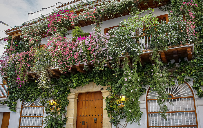 Low angel view of a traditional building with wooden balcony and green flowering plants in Old Town Low angel view of a traditional building with wooden balcony and green flowering plants in Old Town, by Zoonar Uwe Bergwitz