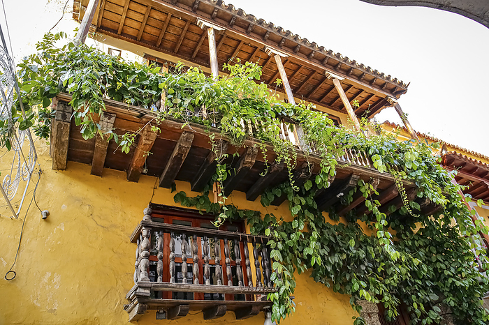 Low angel view of a traditional building with wooden balcony and green plants in Cartagena, Colombia Low angel view of a traditional building with wooden balcony and green plants in Cartagena, Colombia, by Zoonar Uwe Bergwitz