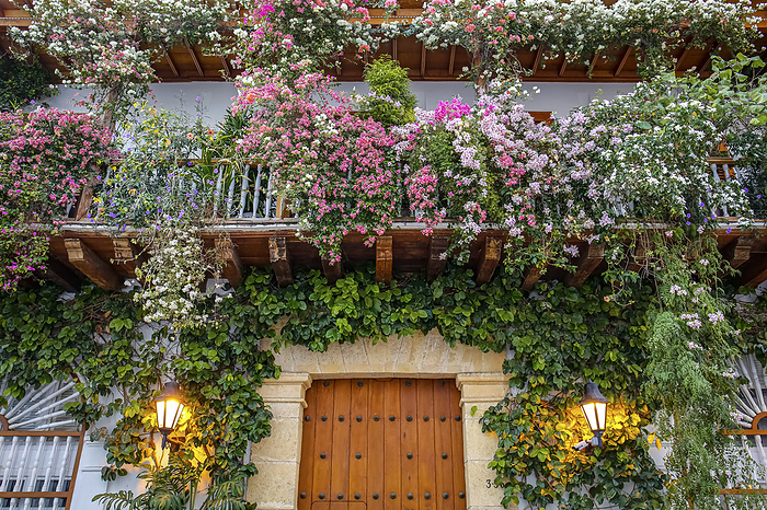 Low angel view to a house entrance and with flowers decorated balconies, Colombia, Unesco World Heri Low angel view to a house entrance and with flowers decorated balconies, Colombia, Unesco World Heri, by Zoonar Uwe Bergwitz