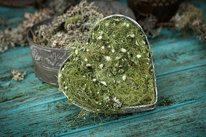Metal heart with fresh lichen Metal heart with fresh lichen, by Zoonar Judith Kiener