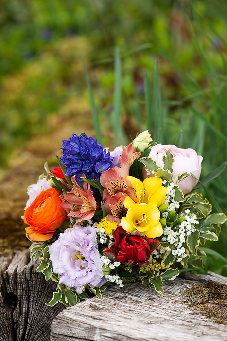 Colorful spring flower bouquet Colorful spring flower bouquet, by Zoonar Judith Kiener