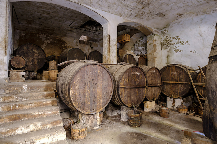 original cellars of Palo Ripoll original cellars of Palo Ripoll, by Zoonar Tolo