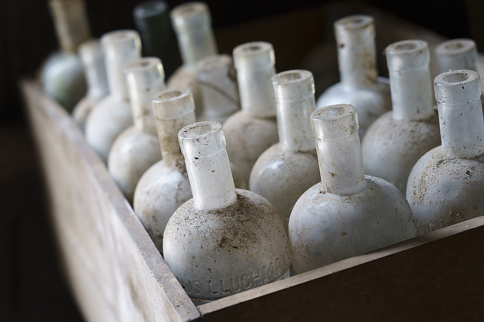 old empty bottles old empty bottles, by Zoonar Bartomeu Bala
