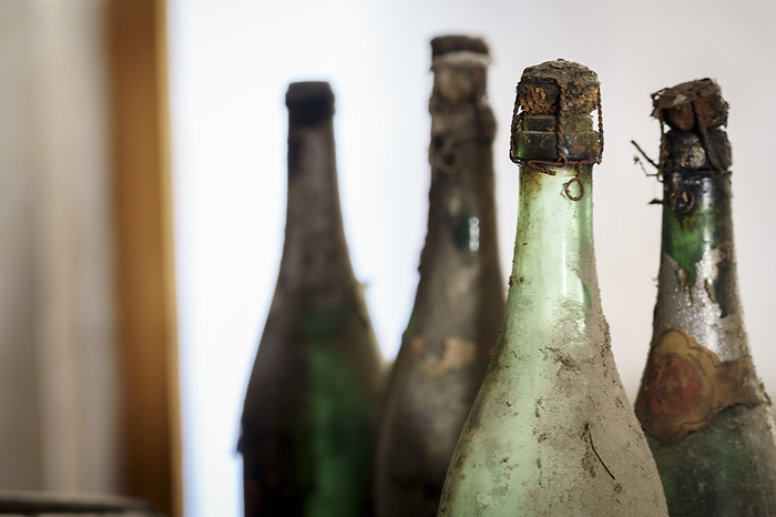 dusty bottles dusty bottles, by Zoonar Bartomeu Bala