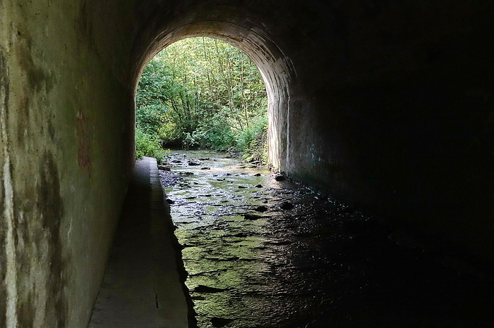Underpass at the Mastershausen stream in the Hunsrueck region Underpass at the Mastershausen stream in the Hunsrueck region, by Zoonar Volker Rauch