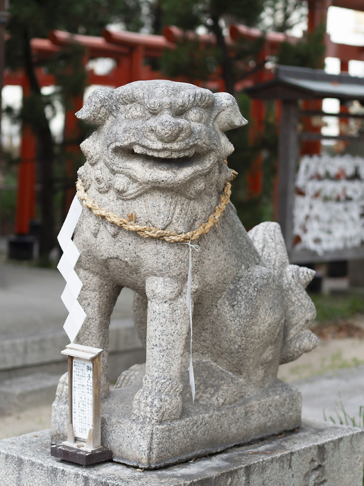 Komainu (guardian dogs) and torii (torii) at shrines