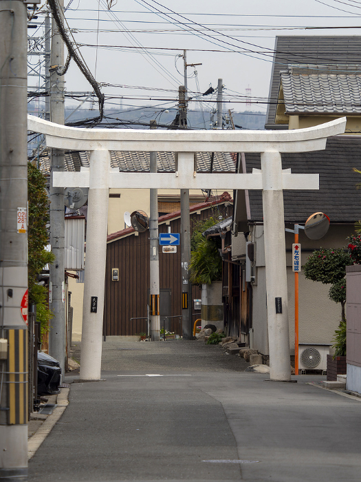 Torii of a shrine on a street in the city