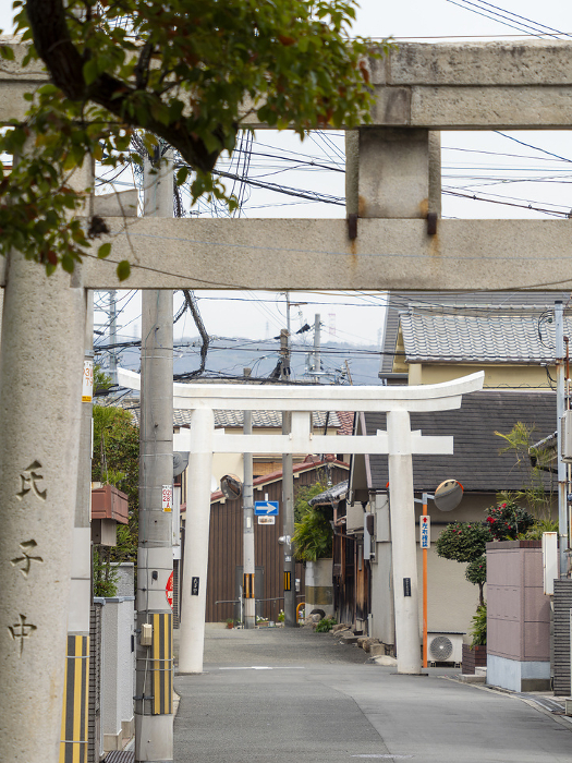 Torii of a shrine on a street in the city