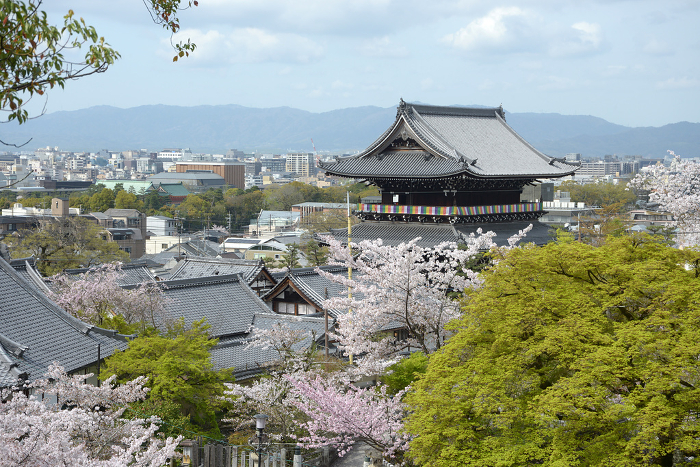 Konkai Komyoji Temple gate in spring Kurodani, Sakyo-ku, Kyoto