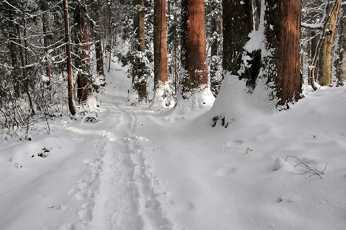 Hagurosan approach in winter Tsuruoka City, Yamagata Prefecture
