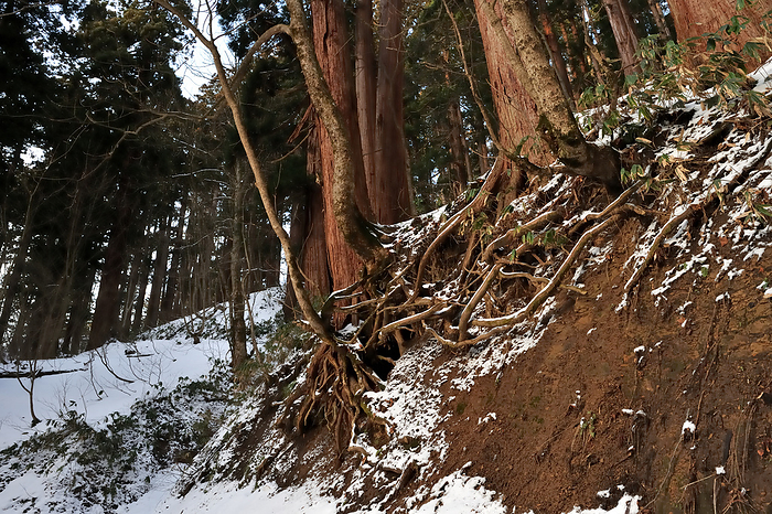Hagurosan in winter Tsuruoka City, Yamagata Prefecture
