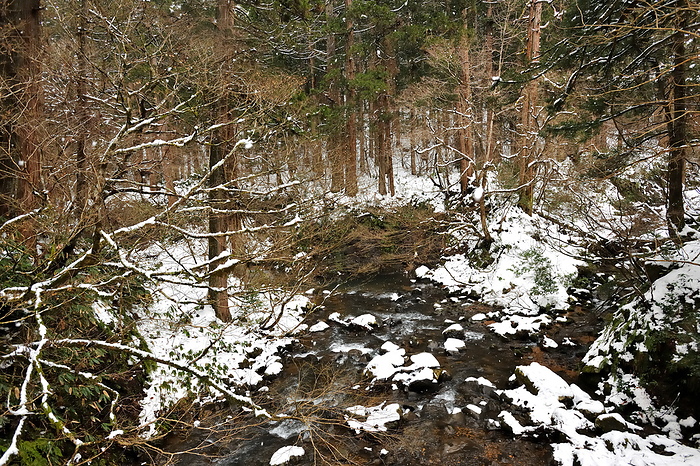 Snowy Hagurosan, Aurigawa River, Tsuruoka City, Yamagata Prefecture
