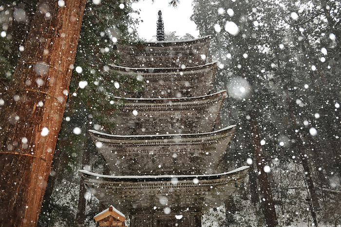Hagurosan Five-Story Pagoda, Tsuruoka City, Yamagata Prefecture