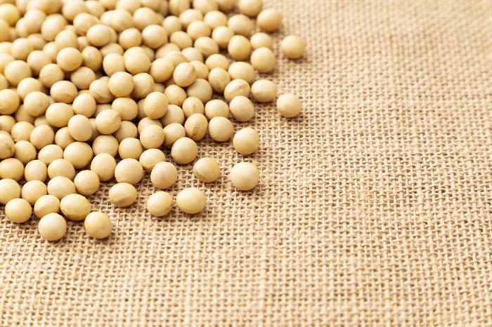 Soybeans on a jute bag