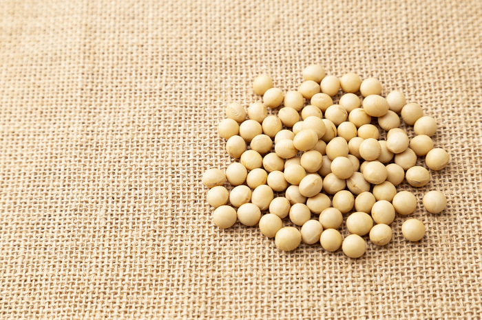 Soybeans on a jute bag