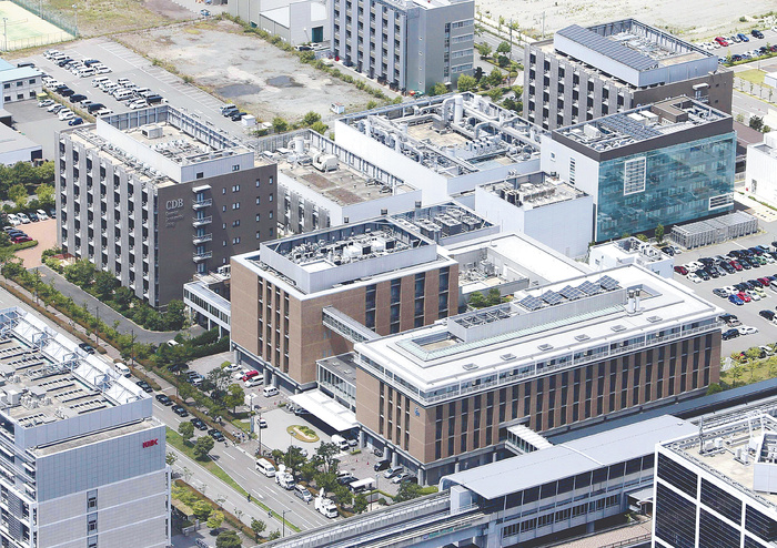 RIKEN s Sasai Commits Suicide Deeply involved in STAP cell paper The Center for Biomedical Research and Innovation  CBRC , where Sasai committed suicide  foreground, RIKEN Center for Developmental Biology in the back   11:08 a.m. on May 5, 2012, in Chuo Ward, Kobe City, Japan, from the head office helicopter .