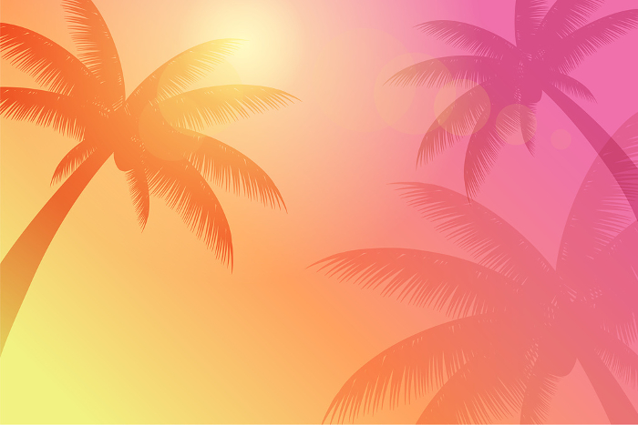 Image background of palm tree in midsummer_vector illustration