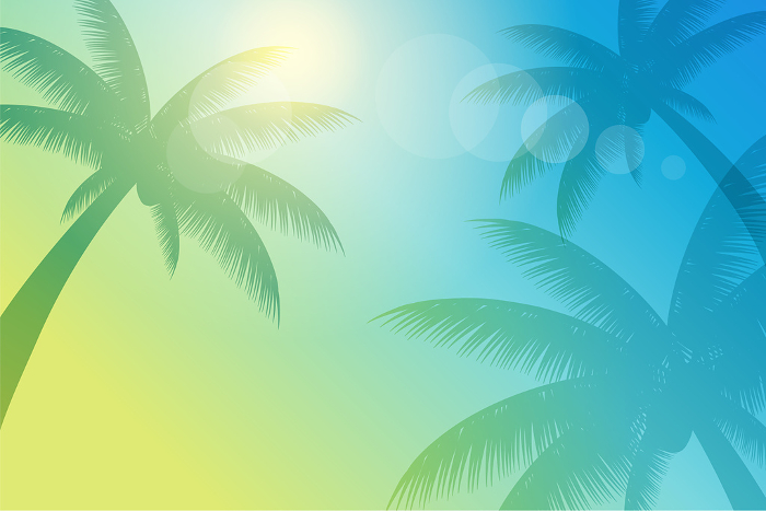 Image background of palm tree in midsummer_vector illustration