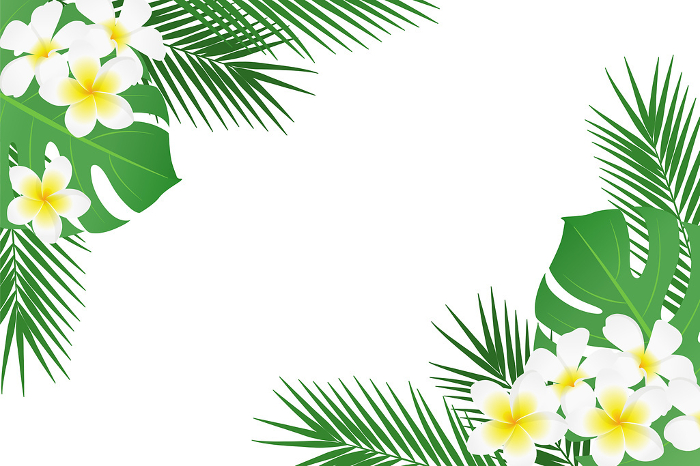 Frame of tropical plants in everlasting summer_vector illustration