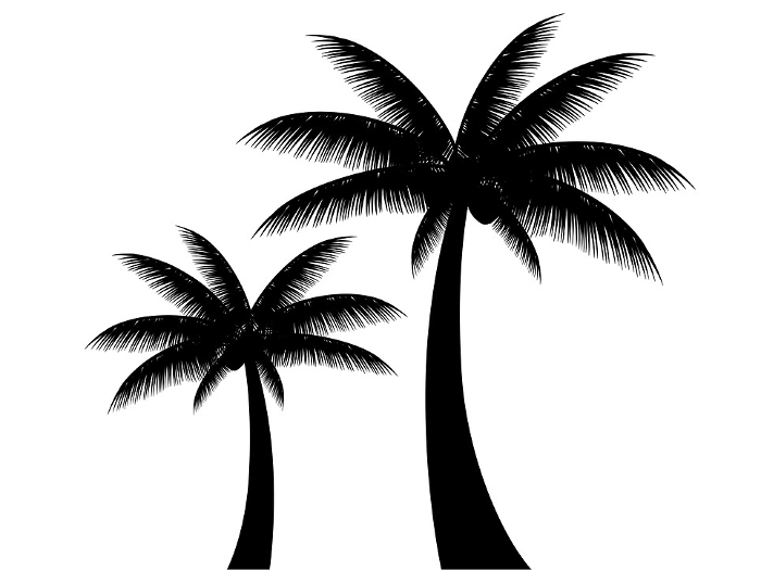 Silhouette Clip art of Palm tree