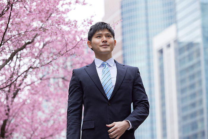 Japanese man walking along a row of cherry blossom trees