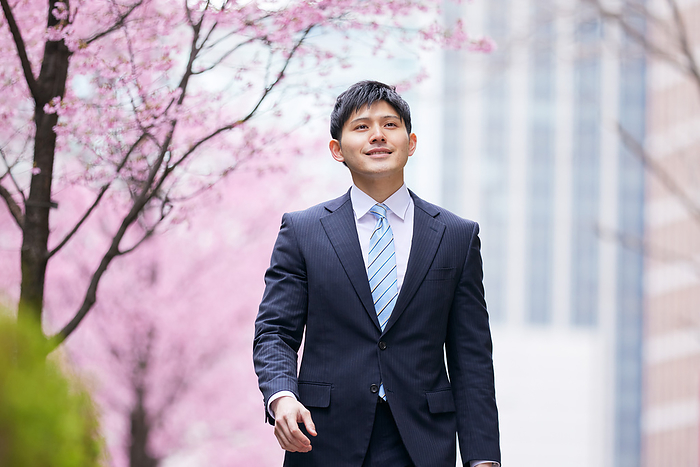 Japanese man walking along a row of cherry blossom trees
