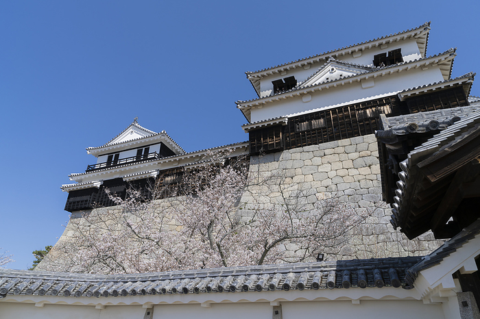Matsuyama Castle's small keep Ehime Prefecture