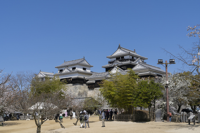 Matsuyama Castle Keep Ehime Prefecture