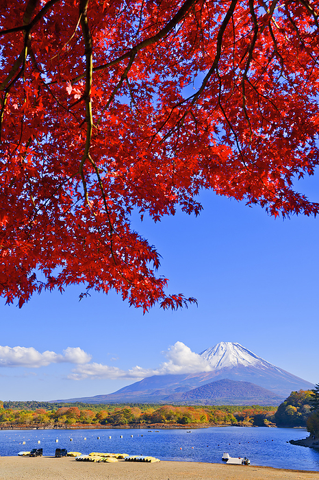 Lake Shojiko and Mt. Fuji in Autumn Yamanashi Pref.