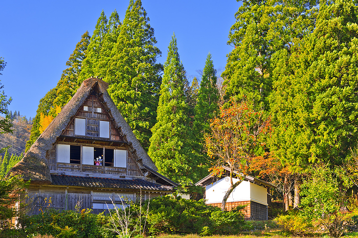 Aikura Gassho-Zukuri Village in Autumn, Toyama Prefecture
