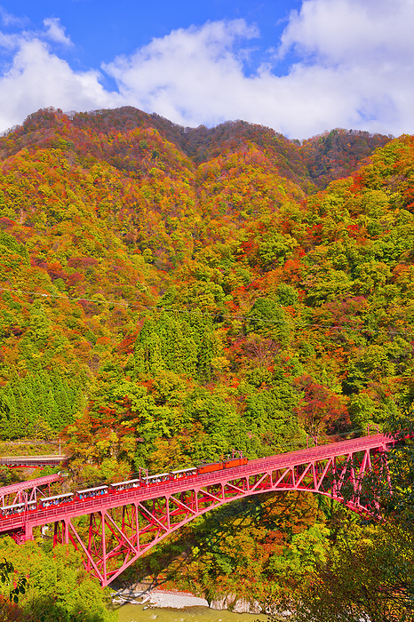 Kurobe Gorge Railway in Autumn, Toyama Prefecture