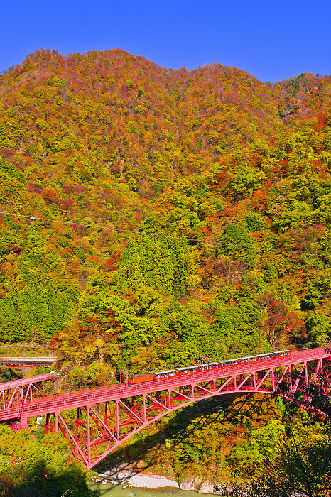 Kurobe Gorge Railway in Autumn, Toyama Prefecture