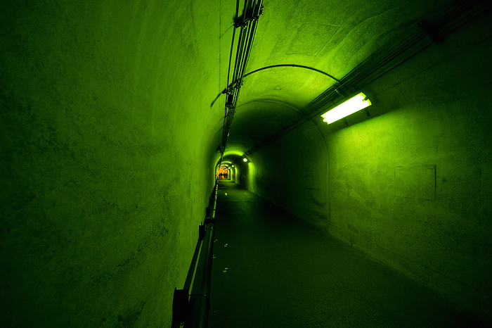 Kiyotsukyo Gorge Tunnel Niigata Prefecture