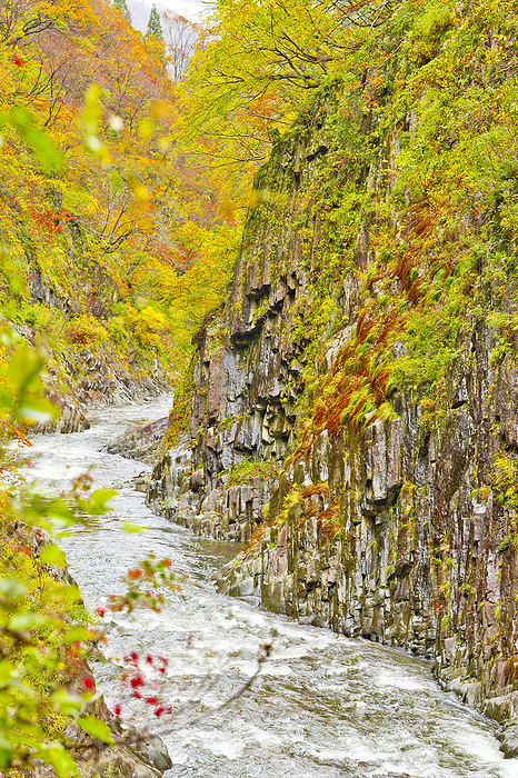Kiyotsukyo Valley in Autumn Niigata Prefecture