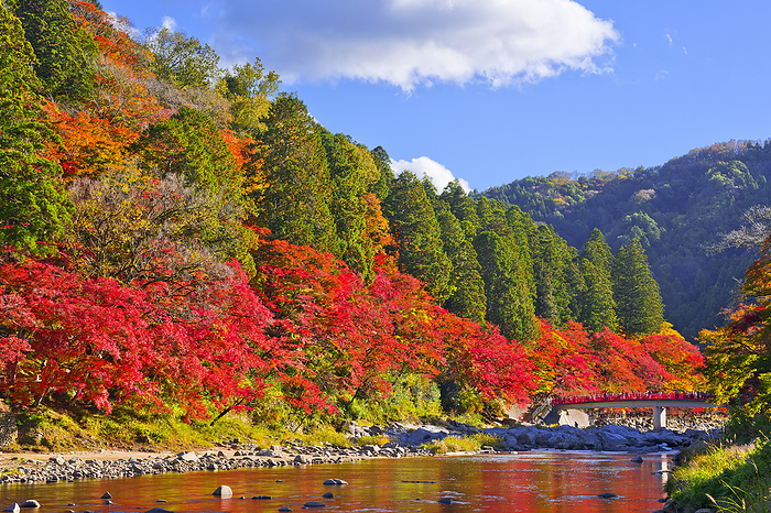 Korankei in Autumn, Aichi Prefecture