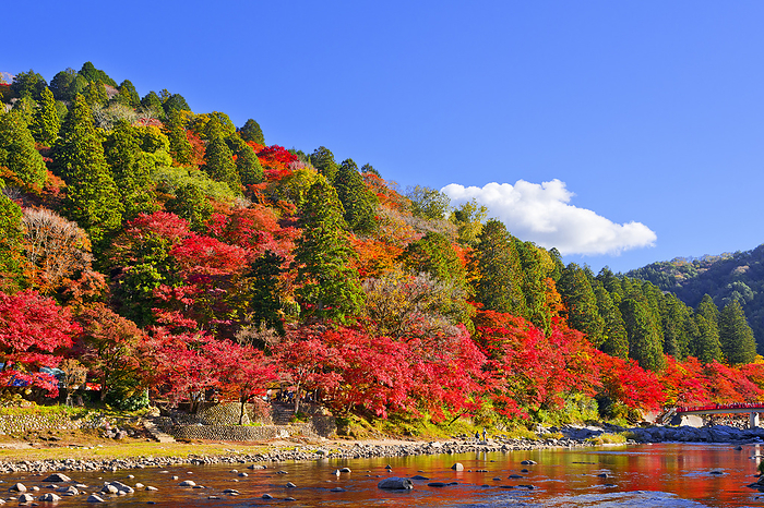 Korankei in Autumn, Aichi Prefecture