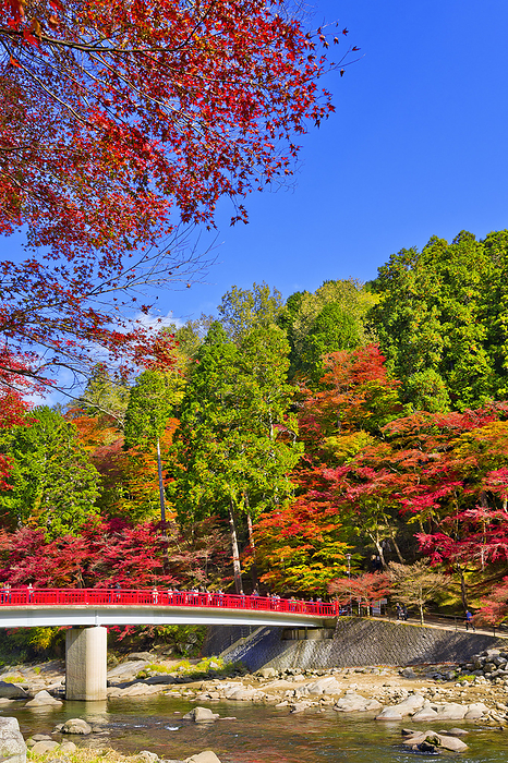 Korankei and Waitaruki Bridge in Autumn Leaves Aichi Pref.