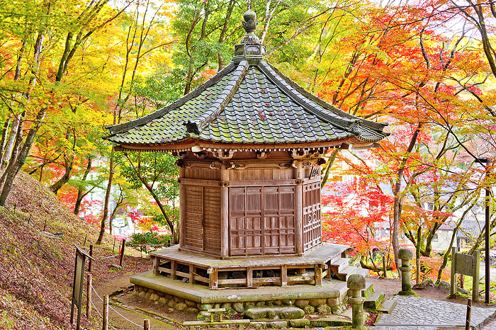 Korankei Autumn Leaves and Taishido Hall Aichi Pref.