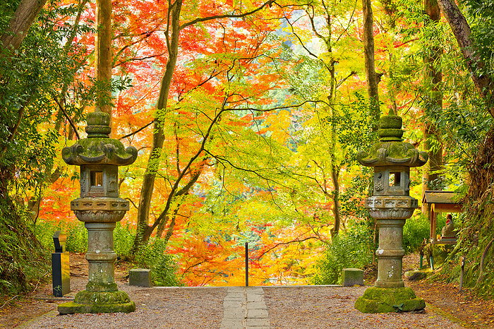 Kashakuji Temple in Autumn, Aichi Prefecture, Japan