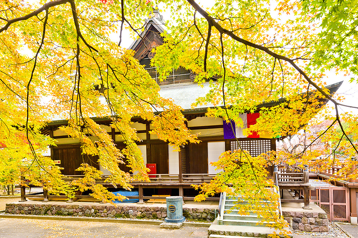 Kita-in in Autumn Kawagoe-shi, Saitama