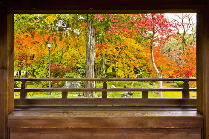 Kita-in in Autumn Kawagoe-shi, Saitama