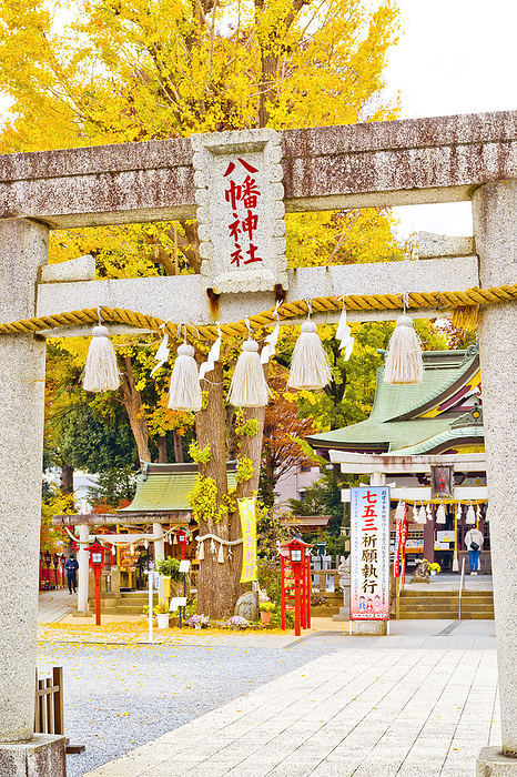Kawagoe Hachimangu Shrine in Autumn Kawagoe City, Saitama Prefecture