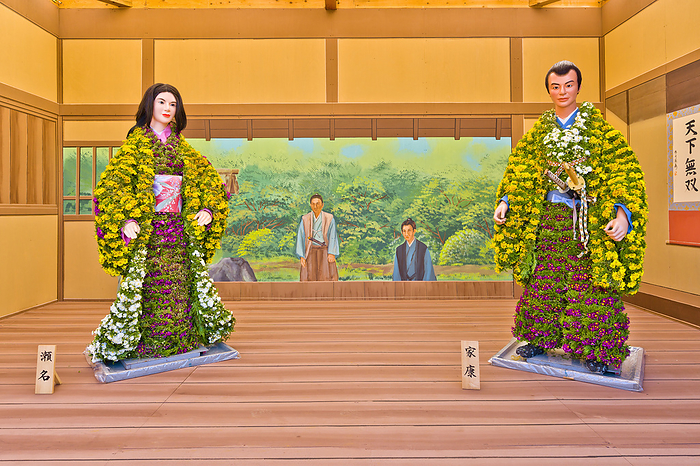 Kasama Inari Shrine Chrysanthemum Festival Ibaraki Pref.