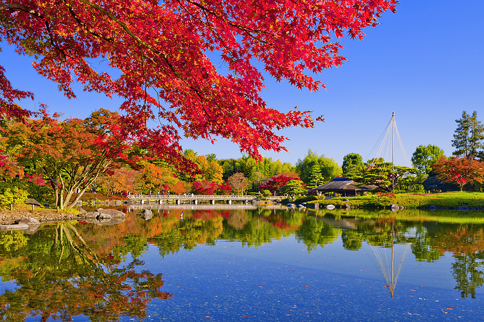Showa Kinen Park in Autumn, Tokyo
