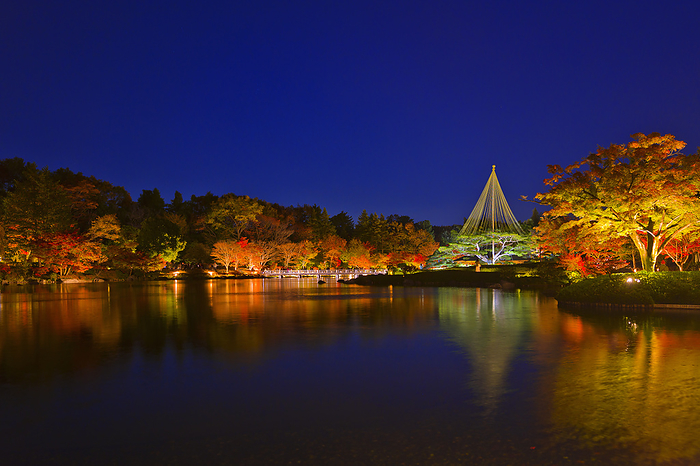 Night View Showa Kinen Park in Autumn, Tokyo
