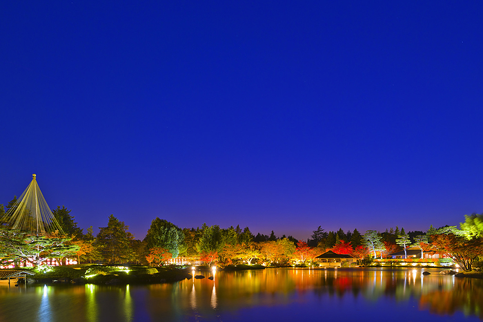 Night View Showa Kinen Park in Autumn, Tokyo