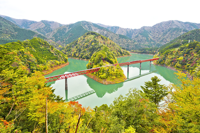 Rainbow Bridge and Oku Oi Lake Station in Autumn Shizuoka Prefecture
