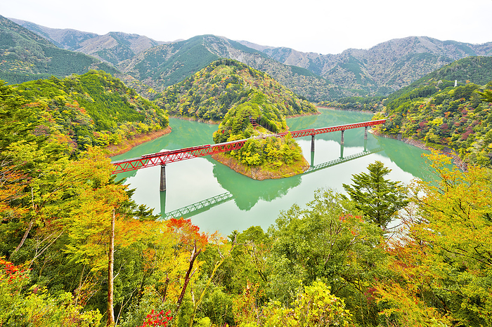 Rainbow Bridge and Oku Oi Lake Station in Autumn Shizuoka Prefecture