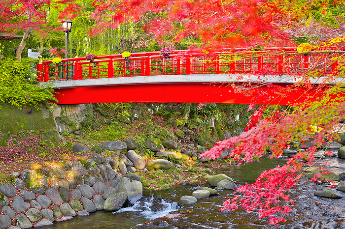 Shuzenji Onsen Autumn leaves and Katsura Bridge Shizuoka Prefecture